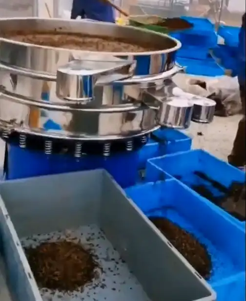 Vibrating Sieving Black Soldier Fly (BSF) Larvae